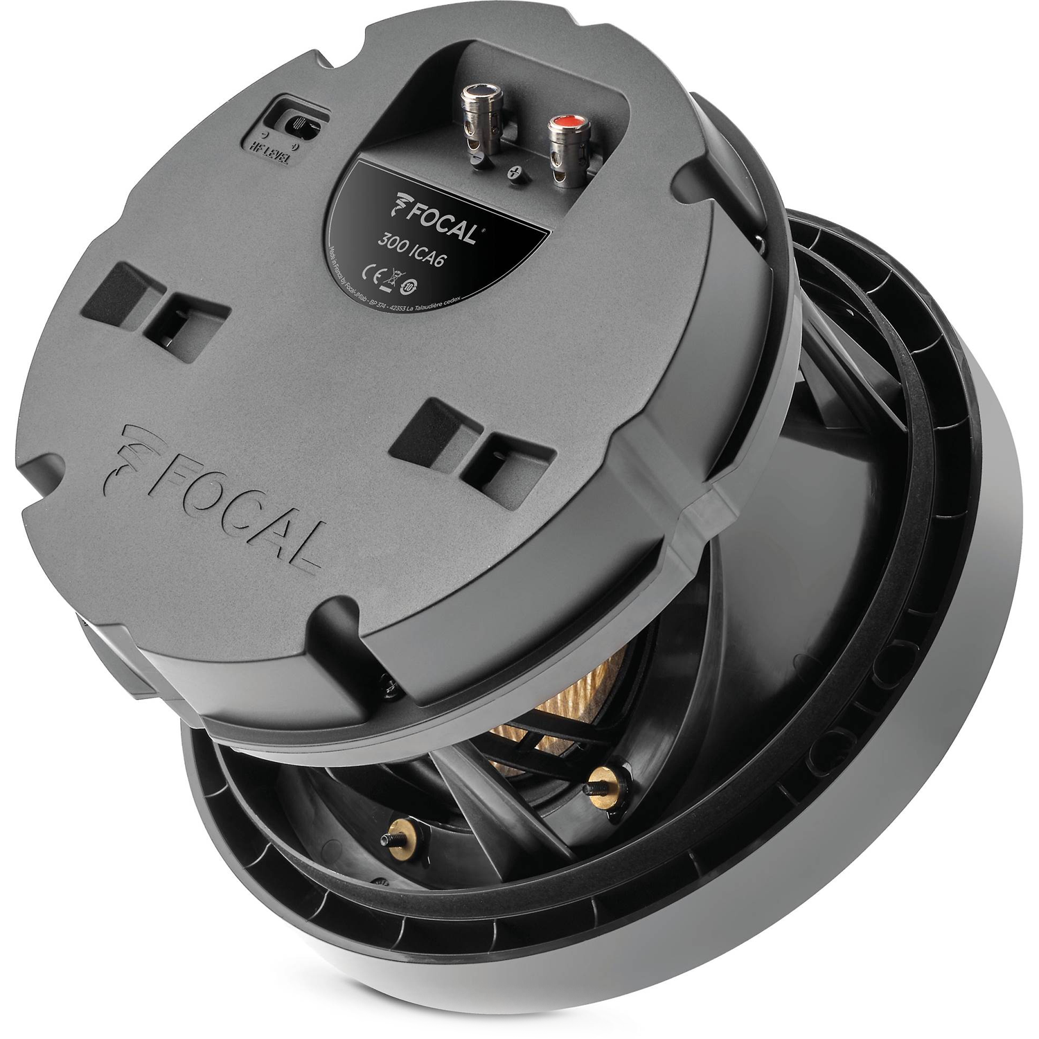 FOCAL  300 ICA6