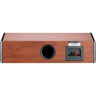 POLK AUDIO  TSi CS10