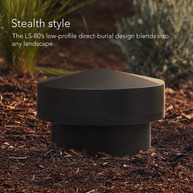 DEFINITIVE TECHNOLOGY  Dymension Outdoor LS-100
