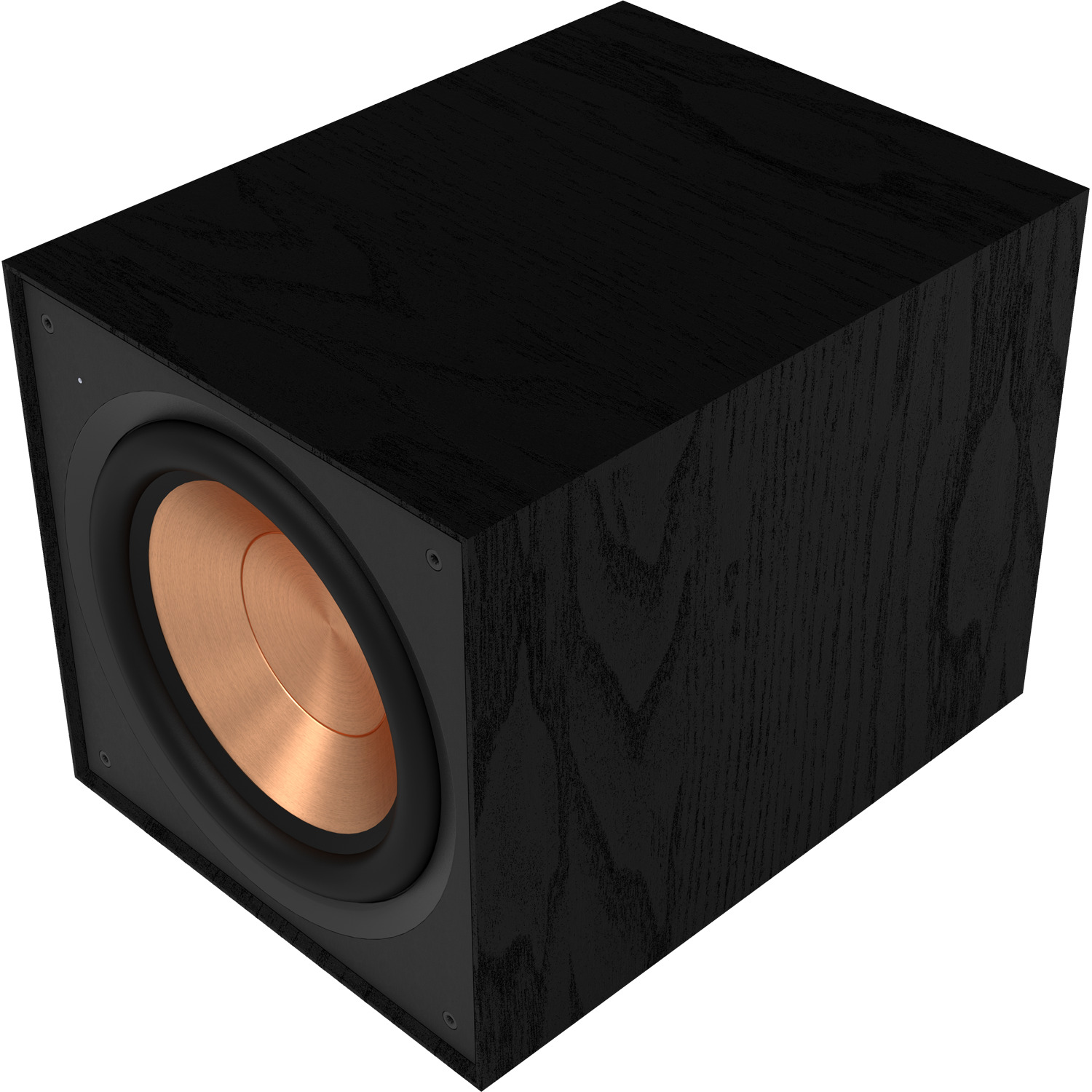 KLIPSCH R-101SW 10